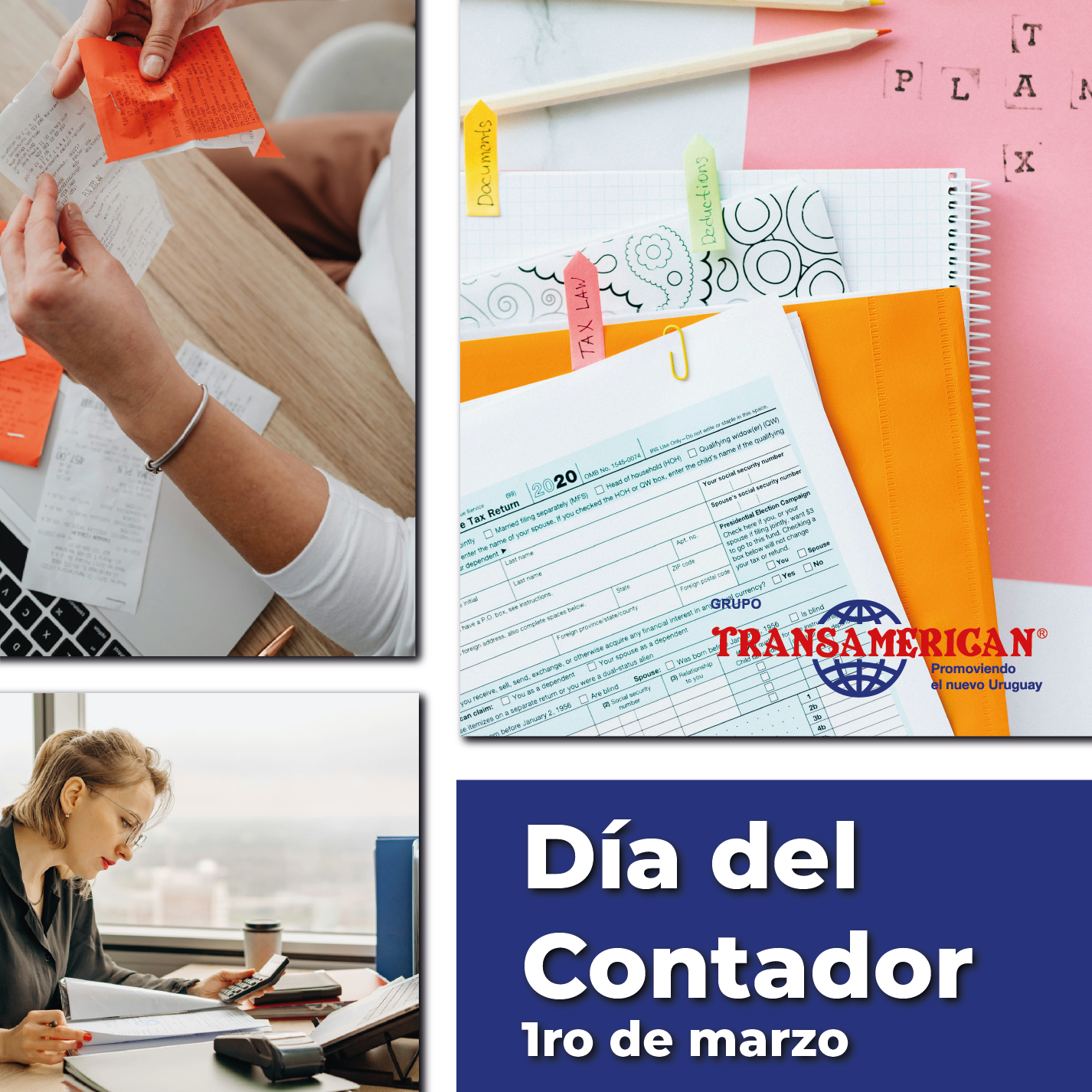 Día del Contador: el equilibrio financiero de Grupo Transamerican